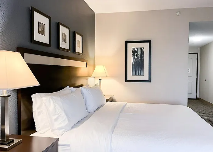 Holiday Inn Express & Suites Morton Peoria Area By Ihg